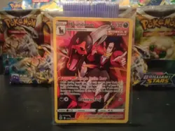 Houndoom TG10/TG30 (Trainer Gallery Full Art) Pokemon Brilliant Stars (Mint) - Image 1