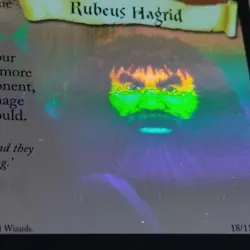 Rubeus Hagrid Base Set 18/116 Harry Potter TCG Card - Image 2