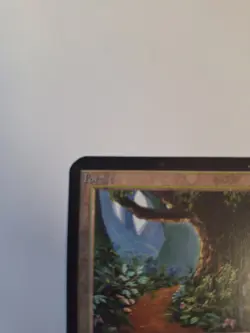 Magic The Gathering Alpha Forest (Path-B) Near Mint UnPlayed. - Image 2