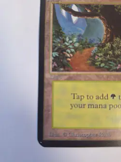 Magic The Gathering Alpha Forest (Path-B) Near Mint UnPlayed. - Image 4