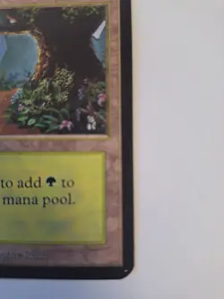 Magic The Gathering Alpha Forest (Path-B) Near Mint UnPlayed. - Image 5