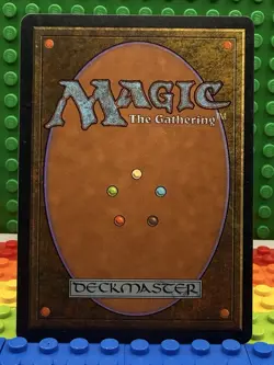 1x Hermit Druid - Stronghold (STH) NM - VINTAGE MTG RARE - Image 2