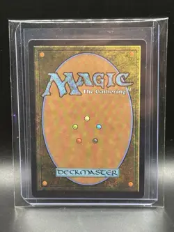 Forest - FIRST (1ST) PLACE FULL ART FOIL - Aetherdrift DFT - 0511 - MtG Magic - Image 2