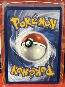 Pokemon TCG Phanpy Illustration Rare Holo Card 205/191 Sv08: Surging Sparks - Image 2