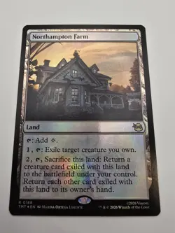 Northampton Farm Teenage Mutant Ninja Turtles Foil - Image 1