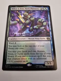 Mikey & Don, Party Planners Teenage Mutant Ninja Turtles Foil - Image 1