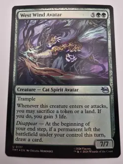 West Wind Avatar Teenage Mutant Ninja Turtles Foil - Image 1