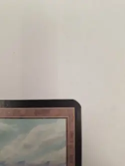 Magic The Gathering Alpha Plains (No Trees-A) Near Mint UnPlayed. - Image 3