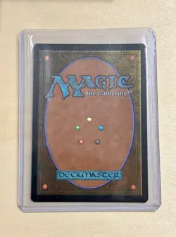 Appa, the Vigilant (Borderless) 62 Avatar Last Airbender: Eternal Legal MTG Foil - Image 2