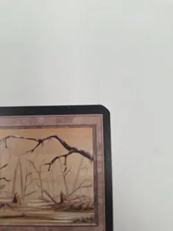 Magic The Gathering Alpha Swamp (Brown Tint B) Near Mint Unplayed - Image 3