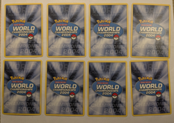 Lot 8 Pokemon World Championships 2004 - Magma's Groudon, Camerupt, Zangoose etc - Image 2
