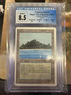 All 10 Revised Dual Lands lot Graded - Image 3