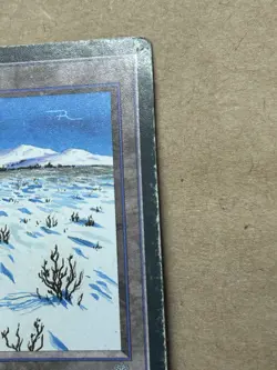 Adarkar Wastes - MTG - Ice Age - Magic: The Gathering - Image 4