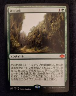 Japanese Sylvan Library NM DMR Dominaria Remastered Regular MTG - Image 1