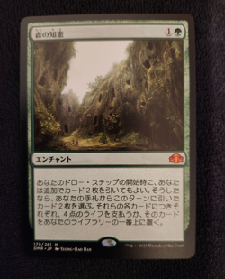 Japanese Sylvan Library NM DMR Dominaria Remastered Regular MTG - Image 2