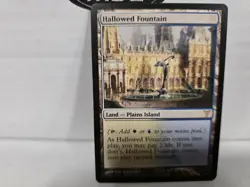 1x MTG Hallowed Fountain - Dissension (DIS) #174 - Magic the Gathering - Image 1