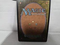 1x MTG Hallowed Fountain - Dissension (DIS) #174 - Magic the Gathering - Image 2