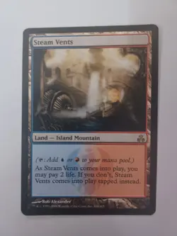 Steam Vents Magic The Gathering Guildpact #164Rare MTG TCG CCG - Image 1