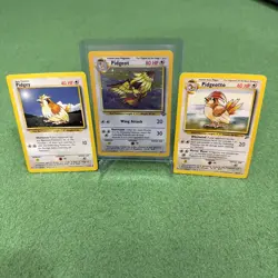 Pokemon TCG Pidgeot Jungle 8/64 Holo Unlimited Holo Rare LP - Image 1