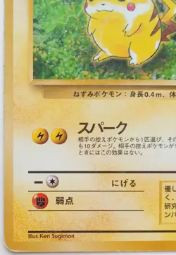 Pikachu Pokemon card Japanese anime vintage card Rare Nintendo F/S No.025 Jungle - Image 5