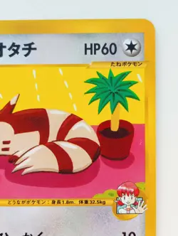 Whitney's Furret VS Pokemon card 1EDITION Nintendo Japanese anime Rare F/S - Image 3