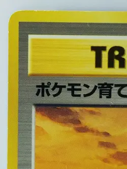 TRAINER Pokemon breeder couple Japanese Pokemon card TCG Nintendo ShippingFree - Image 2