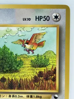 Pidgey Japanese Pokemon Card Nintendo VendingPromoRegular F/S NO.016 LV.10 HP.50 - Image 3