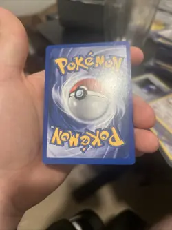 SPANISH Quilava 47/111 Neo Genesis - Uncommon Pokemon Card - EXCELLENT - Image 5