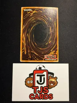 Chaos Emperor Dragon - Envoy Of The End - Secret Rare 1st Edition IOC-000 - HP - - Image 3