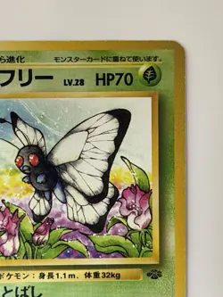 Butterfree No.012 Jungle Old Back vintage Japanese Pokemon Card From Japan - Image 3