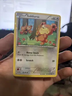 Pokemon Teddiursa Radiant Collection Common Basic Holo RC15/RC25 60HP - Image 1
