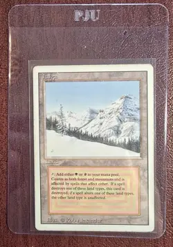 Taiga - MtG Revised/3rd Ed. - Rare LP/MP 1994 (c1) - Image 4