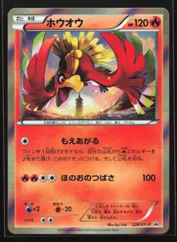 Ho 224/XY-P XY-P: XY Promos Common Japanese Pokemon Card - Image 1
