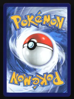 Pikachu V-Union SWSH139/140/141/142 Celebrations Black Star Promo Pokemon Card - Image 5