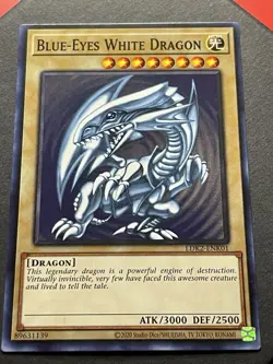 Blue-Eyes White Dragon | SDK Art | LDK2-ENK01 | NM | Common | YuGiOh! - Image 4