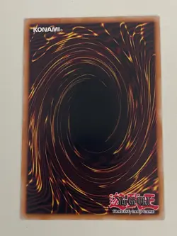 Yugioh - Red Wyvern - 1st Edition LP - Plus Free Holographic Card - Image 2