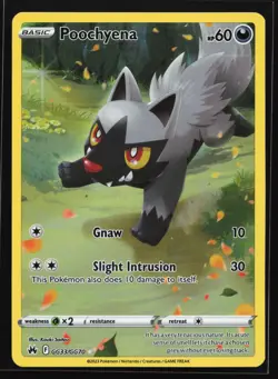 Poochyena GG33/GG70 Crown Zenith: Galarian Gallery Ultra Rare Pokemon Card - Image 1