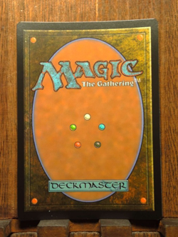 MTG Blue, Loyal Raptor (FOIL Borderless) Universes Beyond: Jurassic World Col.. - Image 3