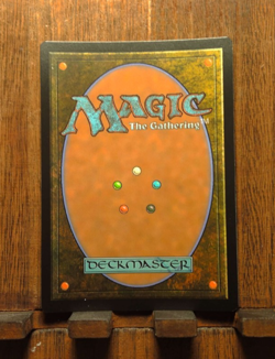 MTG Blue, Loyal Raptor (FOIL Borderless) Universes Beyond: Jurassic World Col.. - Image 4