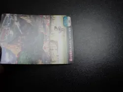 Pokemon Scrap Card Special Illustration No.05 Pikachu Torchic etc #7 EX/VG - Image 2