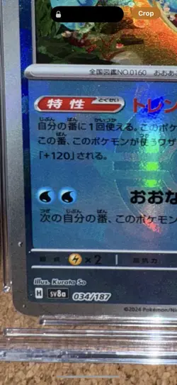 Feraligatr *GEM MINT 10* Terastal Fest Pokemon ex 034/187 Holo Japanese - Image 2