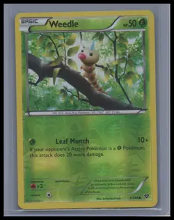 Weedle Reverse Holo XY Base Set # 3/146 NM Pokemon TCG - Image 1