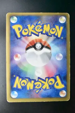 Lucario 106/BW-P Psycho Drive / Hail Blizzard Promo Holo Japanese Pokemon Card - Image 5