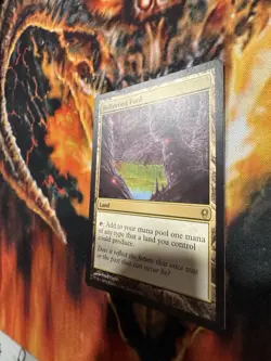 Reflecting Pool Conspiracy Regular - Image 2