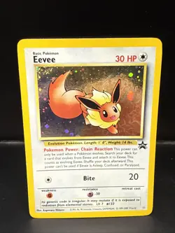 Pokemon - Eevee 11/53 - Wotc - Black Star Promo Holo BO - Image 2