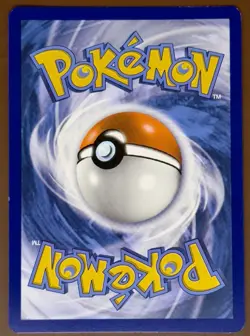 Eevee SWSH118 Black Star Promo Sword & Shield Holographic Pokemon Card NM - Image 2