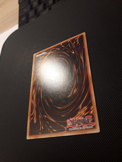 Yu-Gi-Oh! Rotaugiger schwarzer Drache, MAGO-DE003, Gold Rare, 1. Auflage, NM-M - Image 5