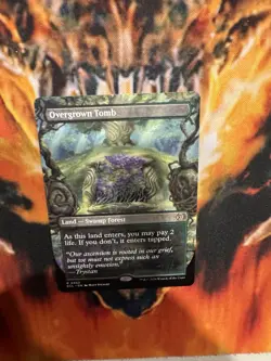 Overgrown Tomb (Borderless) Lorwyn Eclipsed Regular - Image 4