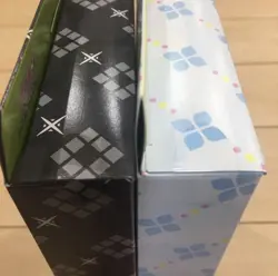 Pokemon Card Game Collection File Set N & Lille Set of 2 Battle Partners JAPAN - Image 3