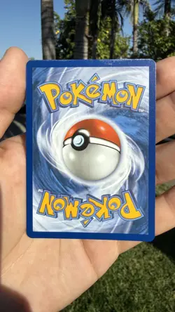 Pokemon TCG First Partner Illustration Series 1 Charmander Squirtle Bulbasaur - Image 5